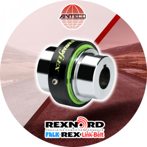 Acoplamiento Falk R10 - Anteco Risac