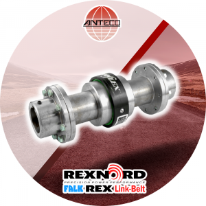 Acoplamiento Falk R31 - Anteco Risac