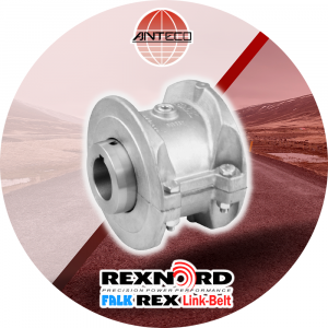 Acoplamiento de rejilla Falk T10 - Anteco Risac