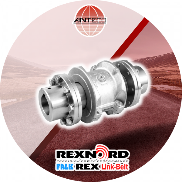 Acoplamiento de rejilla Falk T31